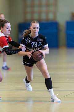 Bild 278 - wBJ SV Henstedt Ulzburg - Bramstedter TS : Ergebnis: 27:15